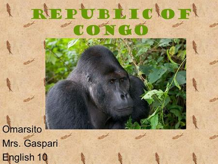 Republic of Congo Omarsito Mrs. Gaspari English 10.