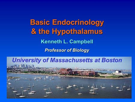 Basic Endocrinology & the Hypothalamus Kenneth L. Campbell Professor of Biology University of Massachusetts at Boston.