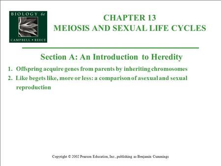 CHAPTER 13 MEIOSIS AND SEXUAL LIFE CYCLES Copyright © 2002 Pearson Education, Inc., publishing as Benjamin Cummings Section A: An Introduction to Heredity.