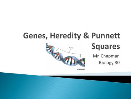 Genes, Heredity & Punnett Squares