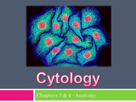Chapters 3 & 4 - Anatomy  Cytology: study of cells  Structural unit, building block  Estimated ~ 37.2 trillion cells Dependent on health, medical.