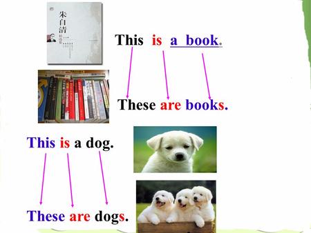This is a book. These are books. This is a dog. These are dogs.