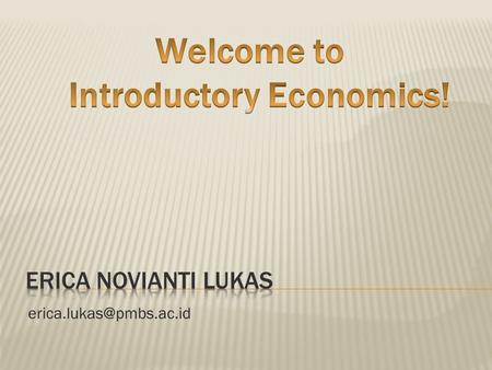 Introductory Economics!