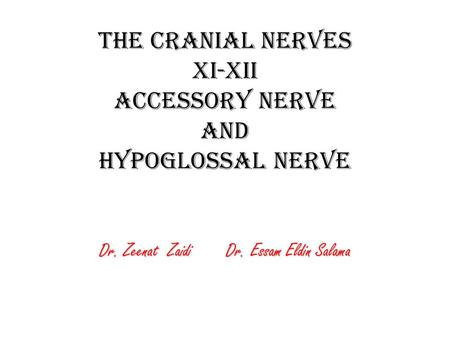 The Cranial Nerves XI-XII Accessory Nerve and Hypoglossal Nerve