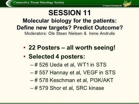 12 th Annual CTOS Meeting 2006 SESSION 11 Molecular biology for the patients: Define new targets? Predict Outcome? Moderators: Ole Steen Nielsen & Irene.