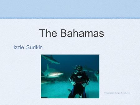 Person scuba diving in the Bahamas