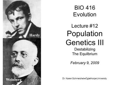 BIO 416 Evolution Lecture #12 Population Genetics III Destabilizing The Equilbrium February 9, 2009 Dr. Karen Schmeichel Oglethorpe University Hardy Weinberg.