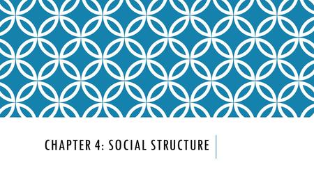 CHAPTER 4: SOCIAL STRUCTURE. SECTION 1: BUILDING BLOCKS OF SOCIAL STRUCTURE.