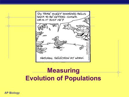AP Biology Measuring Evolution of Populations AP Biology There are 5 Agents of evolutionary change MutationGene Flow Genetic DriftSelection Non-random.