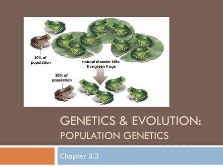 GENETICS & EVOLUTION: population genetics