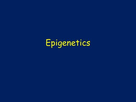 Epigenetics. Epistatic interactions are often the result of two or more genes each affecting different steps of a biochemical pathway starting substrate.