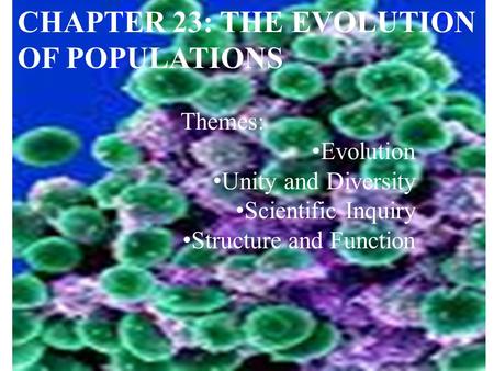 CHAPTER 23: THE EVOLUTION OF POPULATIONS