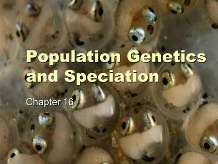 Population Genetics and Speciation Chapter 16. Variation of Traits within a Population  Microevolution: is the evolution that occurs within a population.