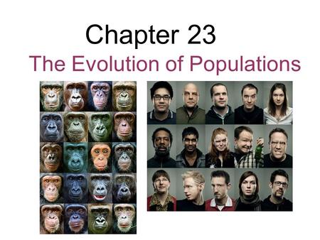 Chapter 23 The Evolution of Populations. Overview: The Smallest Unit of Evolution One misconception is that organisms evolve, in the Darwinian sense,