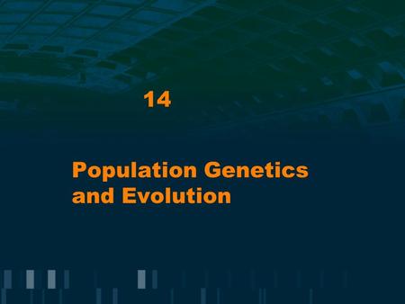 14 Population Genetics and Evolution. Population Genetics Population genetics involves the application of genetic principles to entire populations of.