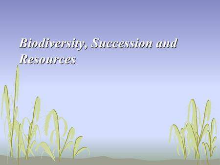 Biodiversity, Succession and Resources. BIODIVERSITY Degree to which species VARY within an ecosystemDegree to which species VARY within an ecosystem.