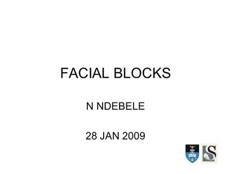 FACIAL BLOCKS N NDEBELE 28 JAN 2009.
