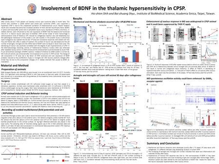 NeuN GFAP CD11b C Involvement of BDNF in the thalamic hypersensitivity in CPSP. Hsi-chien Shih and Bai-chuang Shyu, Institute of BioMedical Science, Academia.