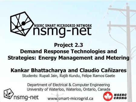 Www.smart-microgrid.ca Project 2.3 Demand Response Technologies and Strategies: Energy Management and Metering Kankar Bhattacharya and Claudio Cañizares.