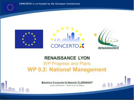 Béatrice Couturier & Malorie CLERMONT Local coordination - Grand Lyon & Hespul RENAISSANCE LYON WP Progress and Plans WP 0.2: National Management.