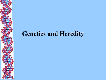Genetics and Heredity Genetics The study of heredity, how traits are passed from parent to offspring x = or.
