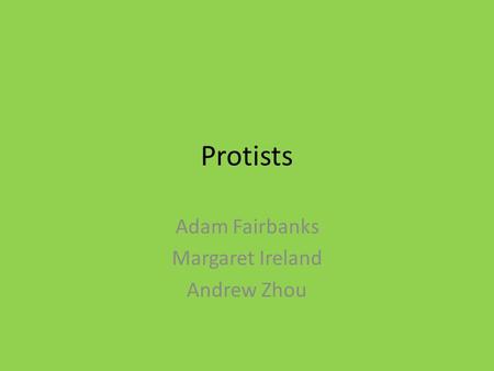 Protists Adam Fairbanks Margaret Ireland Andrew Zhou.