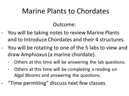 Marine Plants to Chordates Outcome: -You will be taking notes to review Marine Plants and to Introduce Chordates and their 4 structures. -You will be rotating.