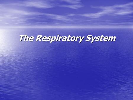 The Respiratory System. Role of the Respiratory System The main role of the respiratory system is to get oxygen from the atmosphere and place it in a.
