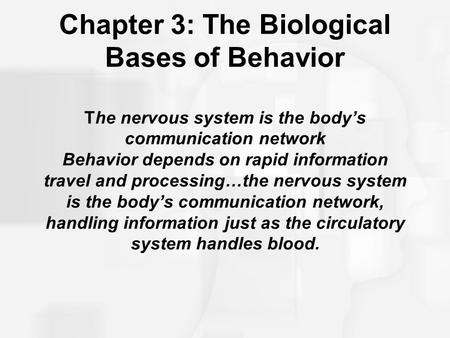 Chapter 3: The Biological Bases of Behavior The nervous system is the body’s communication network Behavior depends on rapid information travel and processing…the.