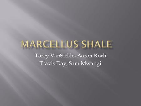 Torey VanSickle,Aaron Koch Travis Day, Sam Mwangi.