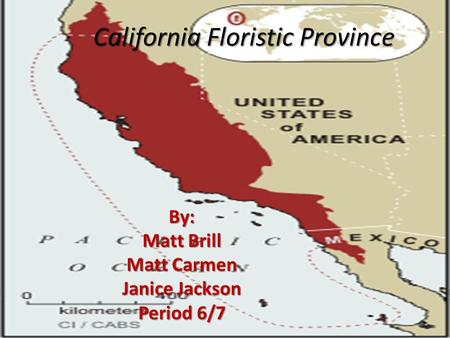 California Floristic Province By: Matt Brill Matt Carmen Janice Jackson Period 6/7.