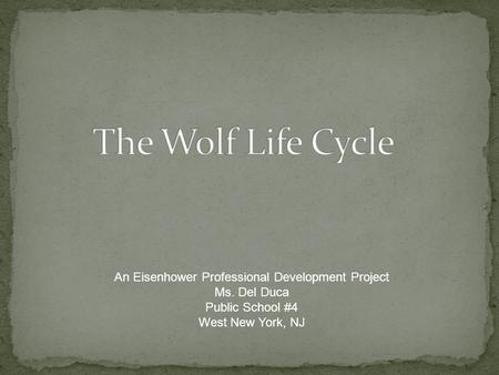 An Eisenhower Professional Development Project Ms. Del Duca Public School #4 West New York, NJ.
