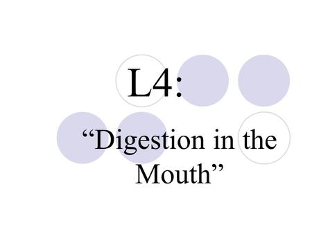 L4: “Digestion in the Mouth”. Question: How does the digestion of starch occur in the mouth?