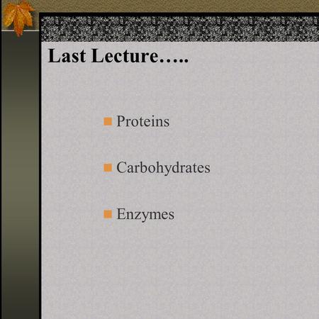Last Lecture….. Proteins Carbohydrates Enzymes. Study Guide Use study guide to determine what you need to know. 95% of test will be from study guide.