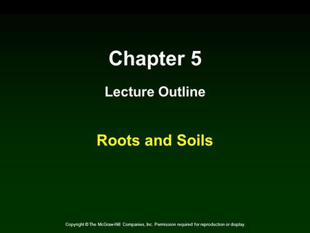 Chapter 5 Roots and Soils Lecture Outline