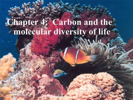 Copyright © 2005 Pearson Education, Inc. publishing as Benjamin Cummings Chapter 4: Carbon and the molecular diversity of life.