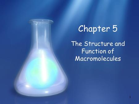 1 Chapter 5 The Structure and Function of Macromolecules.