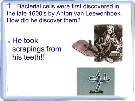 1. Bacterial cells were first discovered in the late 1600's by Anton van Leewenhoek. How did he discover them? He took scrapings from his teeth!!