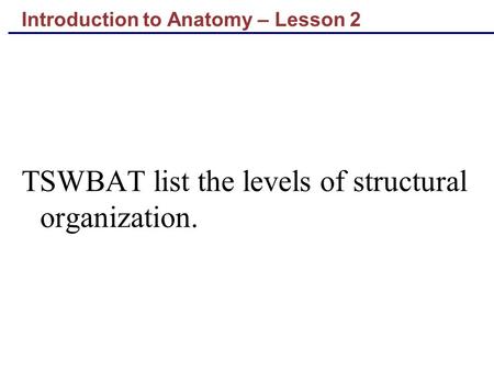 Introduction to Anatomy – Lesson 2 TSWBAT list the levels of structural organization.