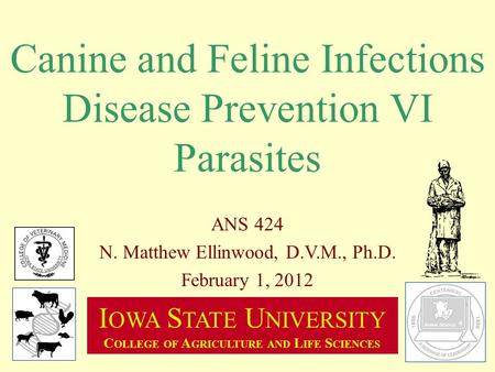 Canine and Feline Infections Disease Prevention VI Parasites I OWA S TATE U NIVERSITY C OLLEGE OF A GRICULTURE AND L IFE S CIENCES ANS 424 N. Matthew Ellinwood,