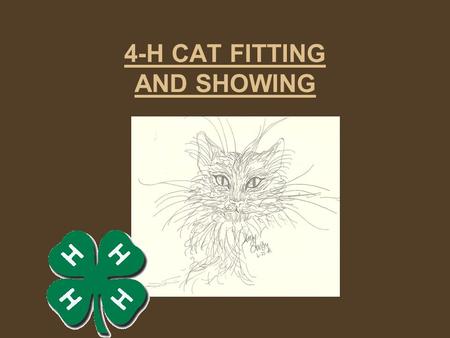 4-H CAT FITTING AND SHOWING