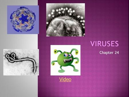 Chapter 24 Video.  Computer Viruses?  Not in the scope of this class. They behave similarly, but are not at all related.