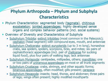 Phylum Arthropoda – Phylum and Subphyla Characteristics Phylum Characteristics: segmented body (tagmata), chitinous exoskeleton; jointed appendages; highly.