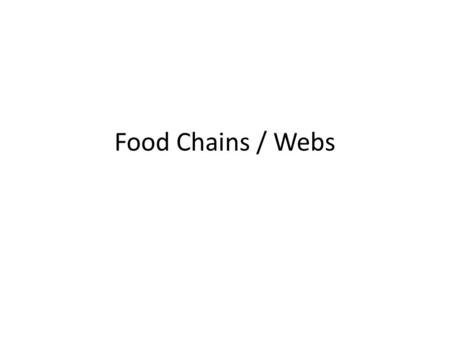 Food Chains / Webs. What’s to Eat? Producers: produce their own food Plants that carry out photosynthesis Trees, vines, shrubs, ferns, mosses,