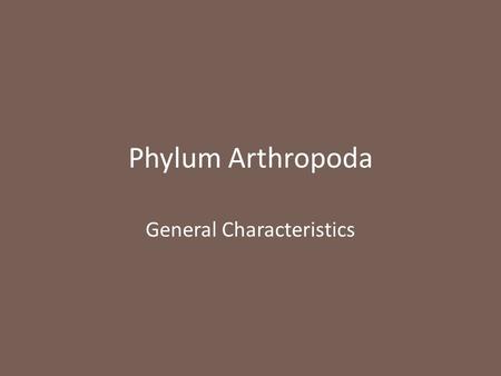 Phylum Arthropoda General Characteristics.  Largest phylum in the animal kingdom  Includes insects, spiders, millipedes, centipedes, crabs and krill.