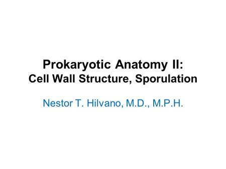 Prokaryotic Anatomy II: Cell Wall Structure, Sporulation Nestor T. Hilvano, M.D., M.P.H.
