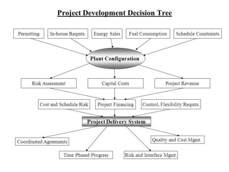 Project Development Decision Tree PermittingIn-house Reqmts.Energy SalesFuel Consumption Plant Configuration Risk AssessmentCapital Costs Schedule Constraints.