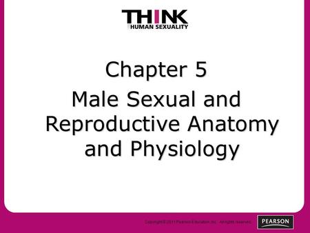 Copyright © 2011 Pearson Education, Inc. All rights reserved. Chapter 5 Male Sexual and Reproductive Anatomy and Physiology.