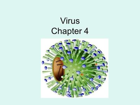 Virus Chapter 4. Viruses Traits of a Virus: Neither living or non-living Difficult for scientists to classify So small they can only be seen with an electron.