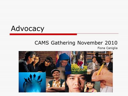 Advocacy CAMS Gathering November 2010 Fiona Caniglia.
